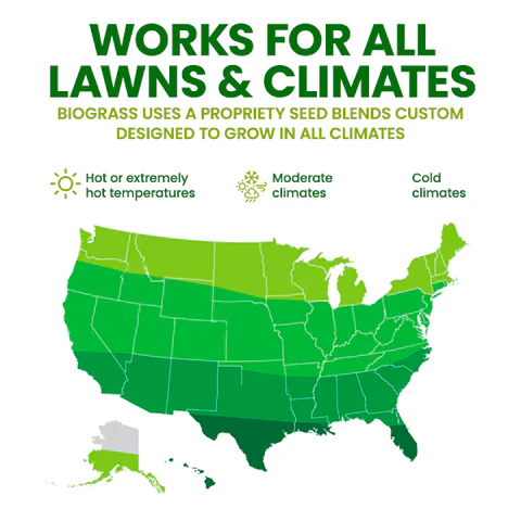 🏆Official Store | 🌟 Few Stocks Available🌟AEXZR® Compostable Lawn Grow Mat 🔥Hot Sale - 50% OFF🌿