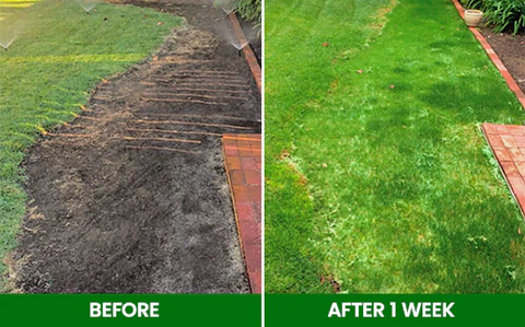 🏆Official Store | 🌟 Few Stocks Available🌟AEXZR® Compostable Lawn Grow Mat 🔥Hot Sale - 50% OFF🌿