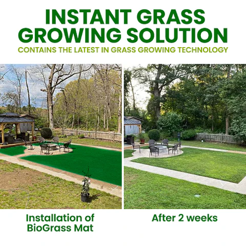 🏆Official Store | 🌟 Few Stocks Available🌟AEXZR® Compostable Lawn Grow Mat 🔥Hot Sale - 50% OFF🌿