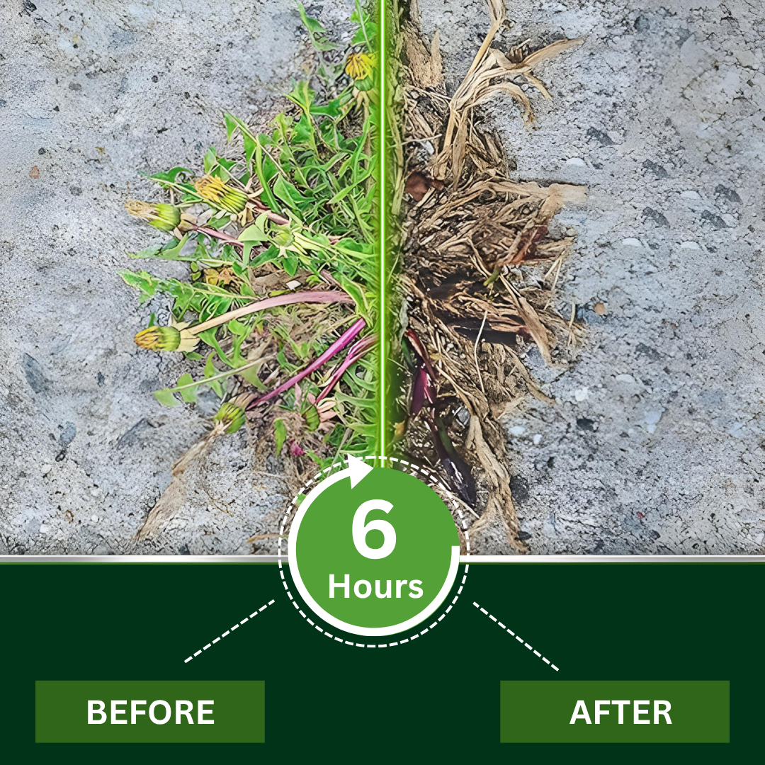 🌟 Official Store |FEW STOCK LEFT!🔥Hot Sale - 50% OFF🌿AEXZR® 2 in 1 Max Power Herbicide