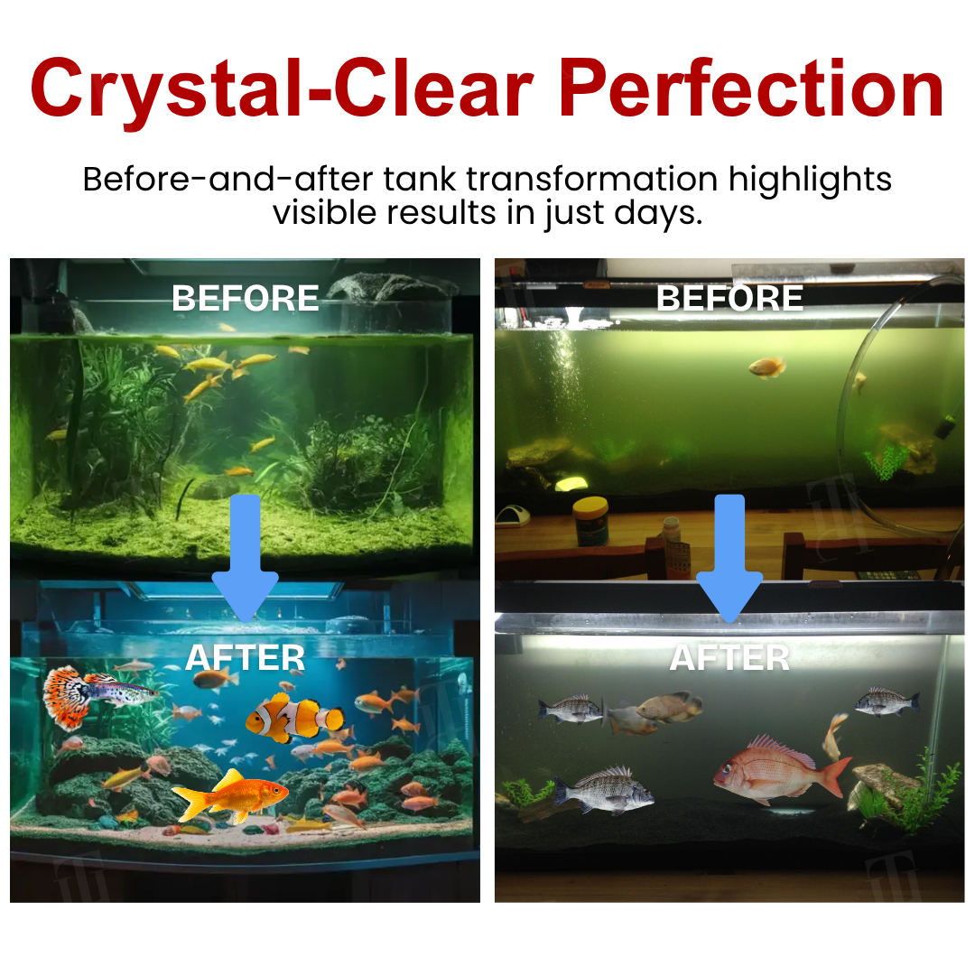 🌟 Official Store |Few Stocks Available🔥Hot Sale - 50% OFF🌿AEXZR® AquaImmune Pro