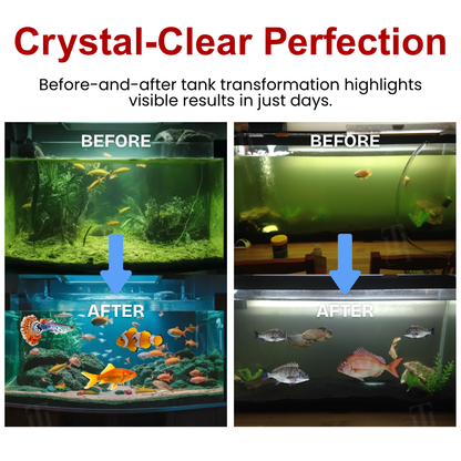 🌟 Official Store |Few Stocks Available🔥Hot Sale - 50% OFF🌿AEXZR® AquaImmune Pro