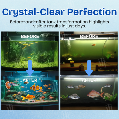 🌟 Official Store |Few Stocks Left🔥Hot Sale - 50% OFF🌿AEXZR® Aquariums Aqua-Guardian Blend