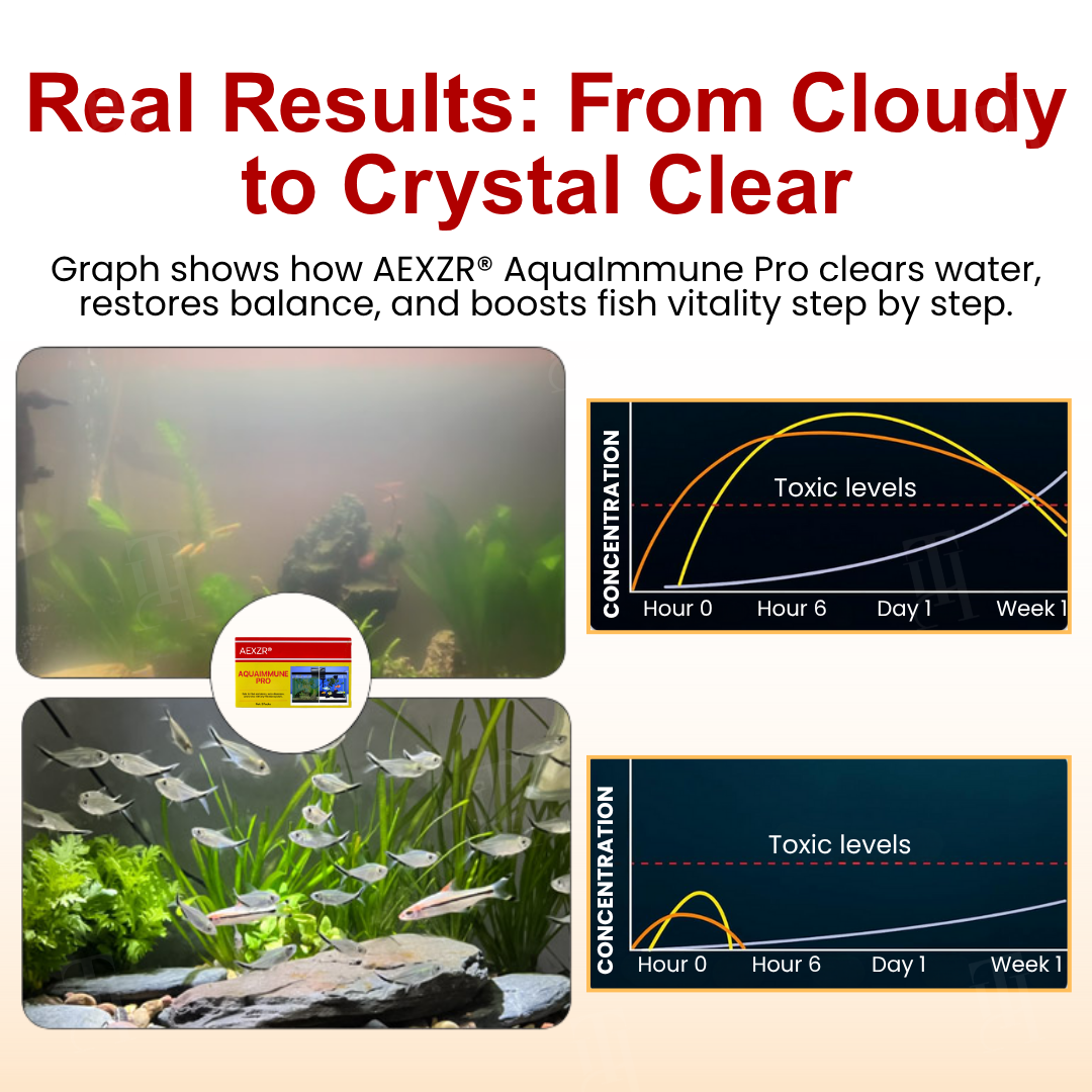 🌟 Official Store |Few Stocks Available🔥Hot Sale - 50% OFF🌿AEXZR® AquaImmune Pro