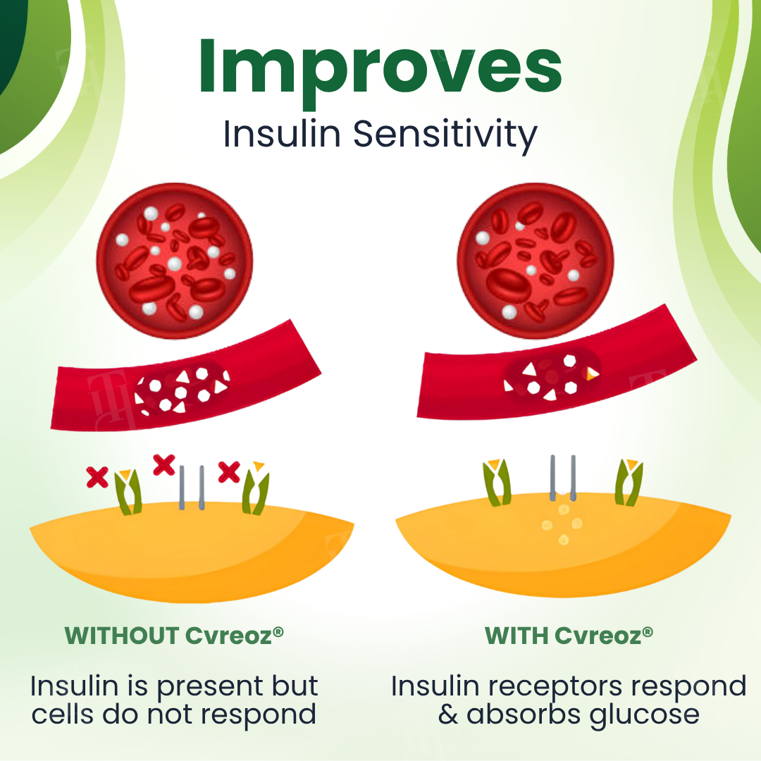 🌟 Official Store |Cvreoz® Glucose Control Spray🌿Transform Your Blood Sugar Management✅Reclaim Your Energy and Health!