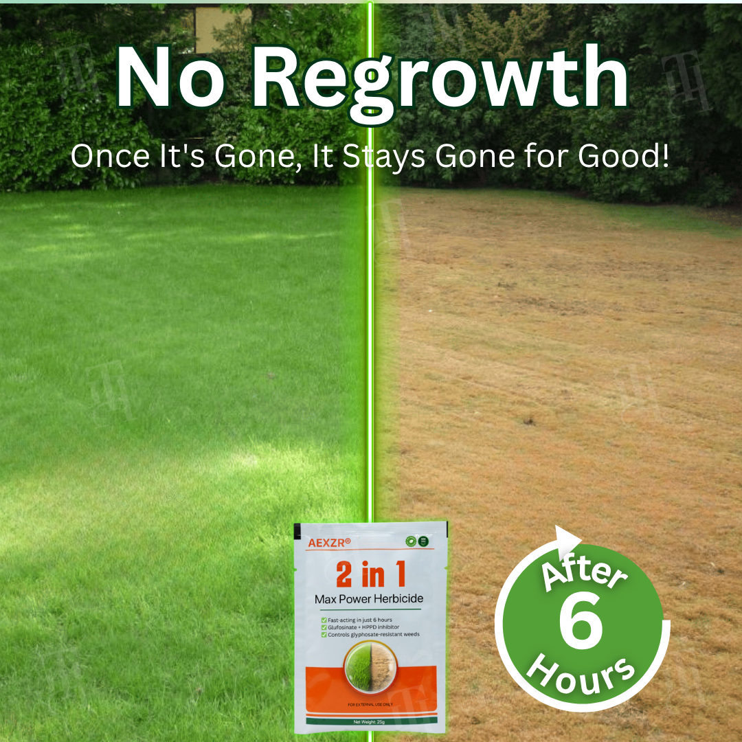🌟 Official Store |FEW STOCK LEFT!🔥Hot Sale - 50% OFF🌿AEXZR® 2 in 1 Max Power Herbicide