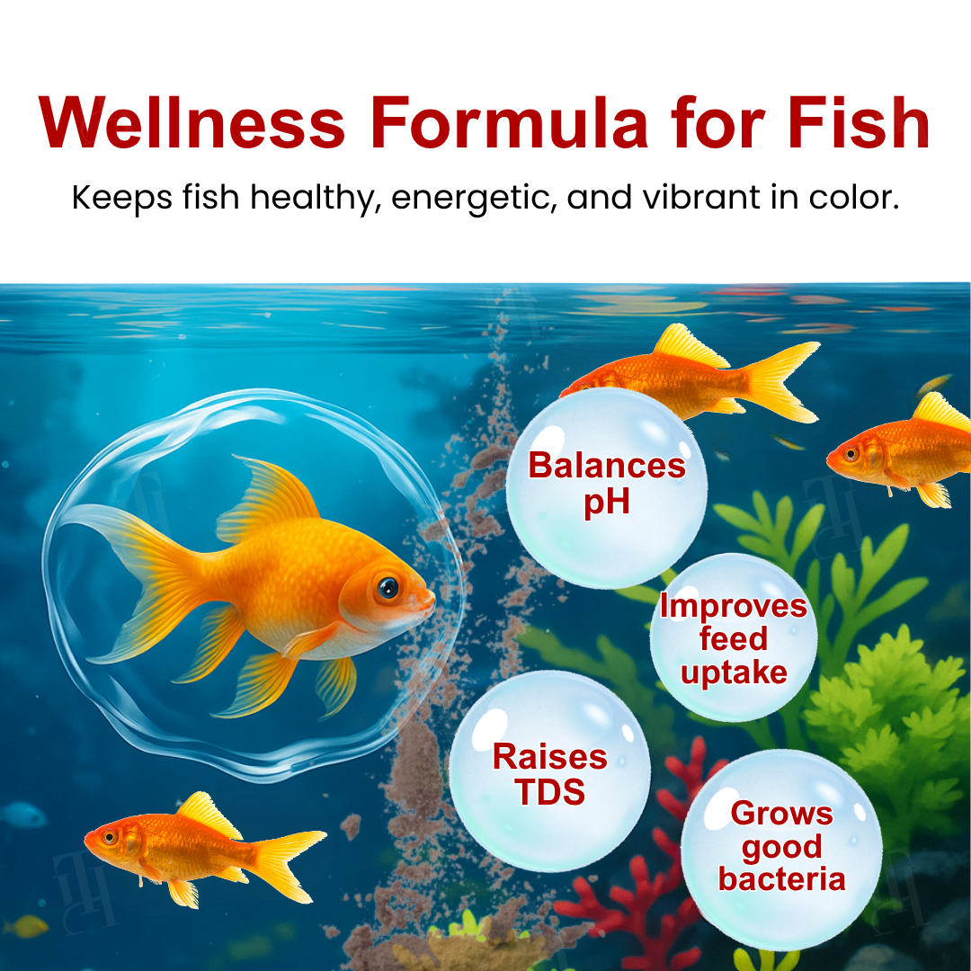 🌟 Official Store |Few Stocks Available🔥Hot Sale - 50% OFF🌿AEXZR® AquaImmune Pro