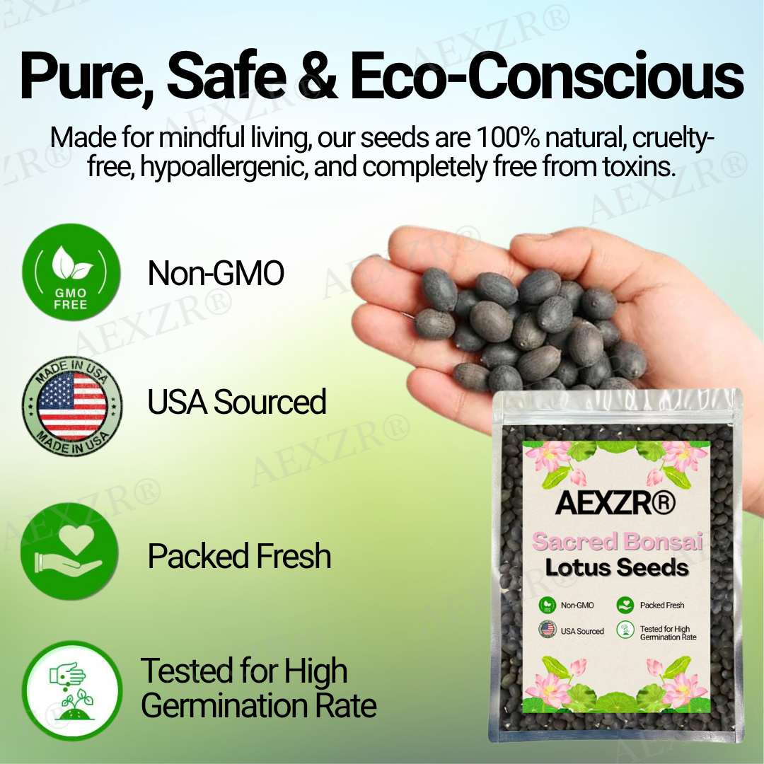 🌟 Official Store |Few Stocks Left🔥Hot Sale - 50% OFF🌿AEXZR® Sacred Bonsai Lotus Seeds