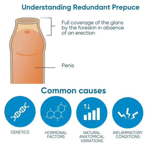 BruteCo™ Redundant Prepuce Corrector Gel - 👨‍⚕️Recommended by Medical Experts!