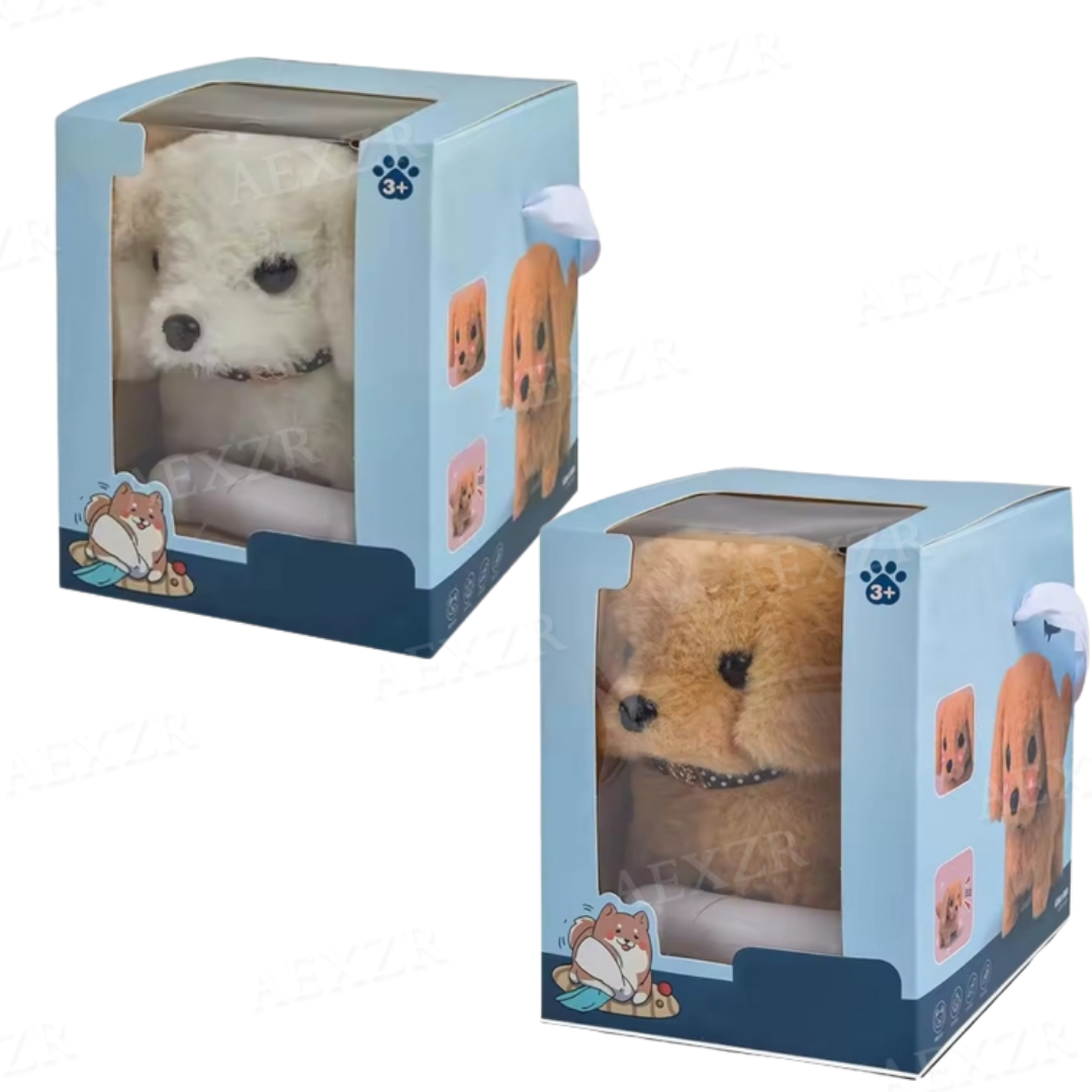 Set 2 - White + Golden (55% OFF)