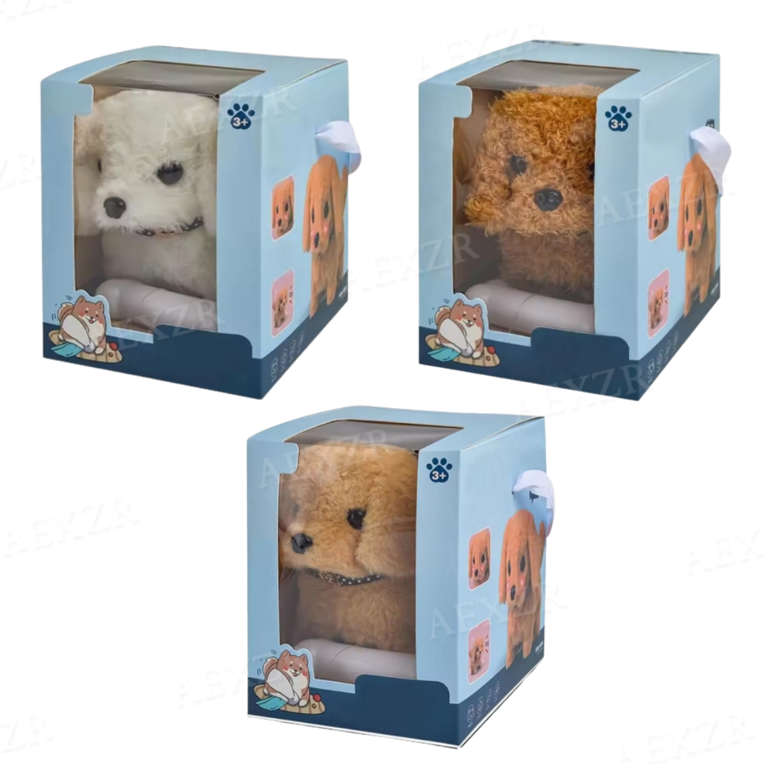 Set 3 - White + Golden + Brown (60% OFF)